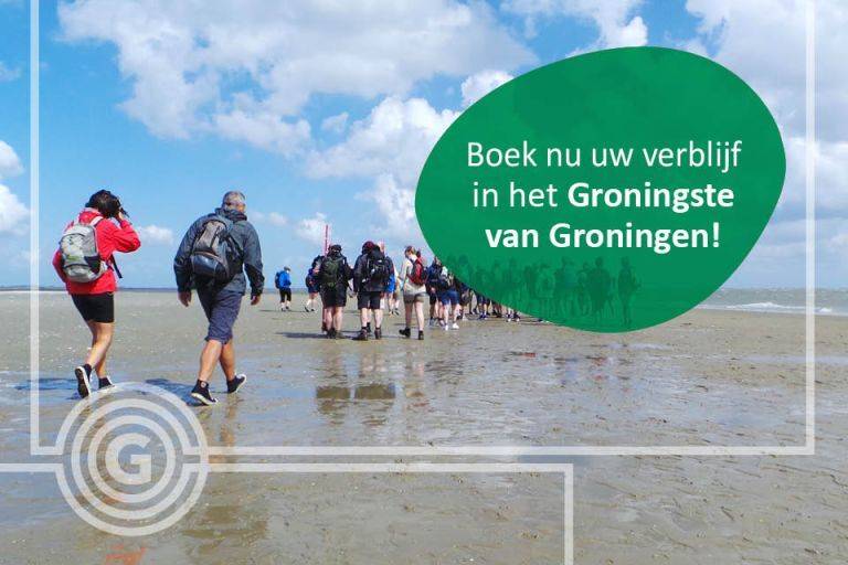 Noord-Groningse ondernemers zetten nieuwe boekingssite op