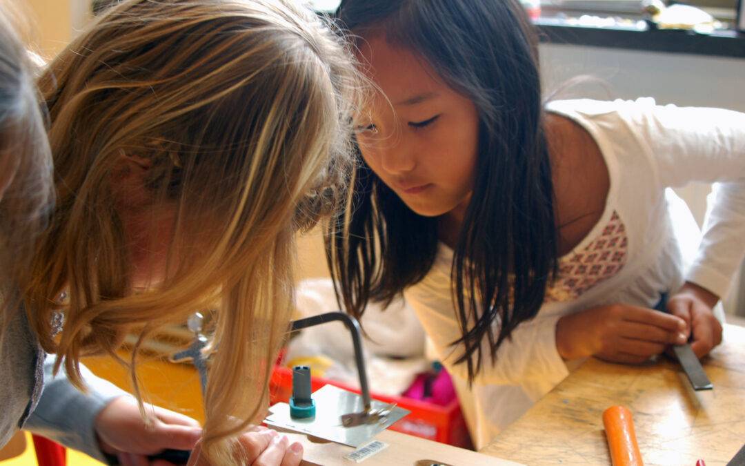 Zomerprogramma De Jonge Onderzoekers Eemsdelta