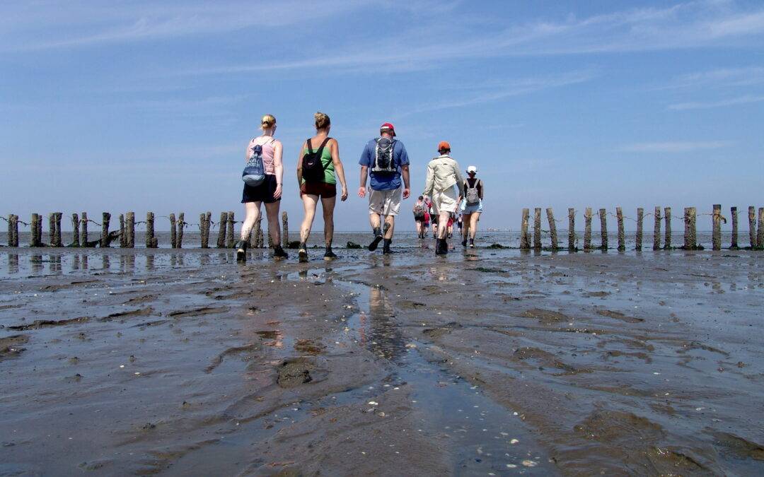 Economic Board Groningen richt kwaliteitsteam voor toeristische ondernemers op