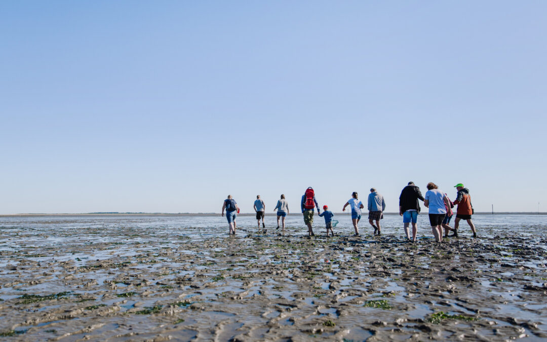 Meer inzicht in bezoekers aan de Waddenkust